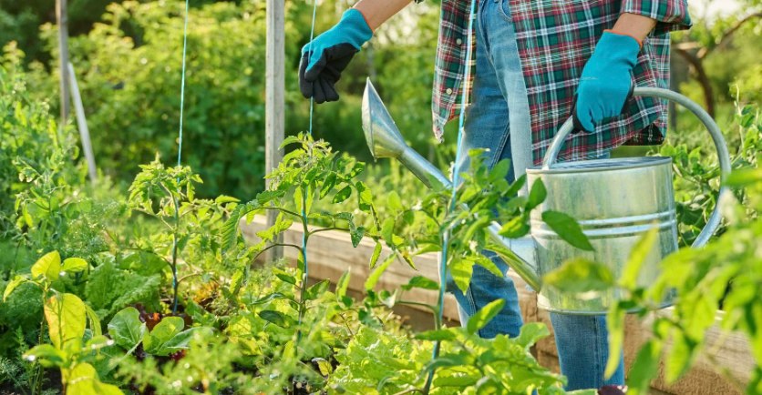 Nourrir Liège – visuel